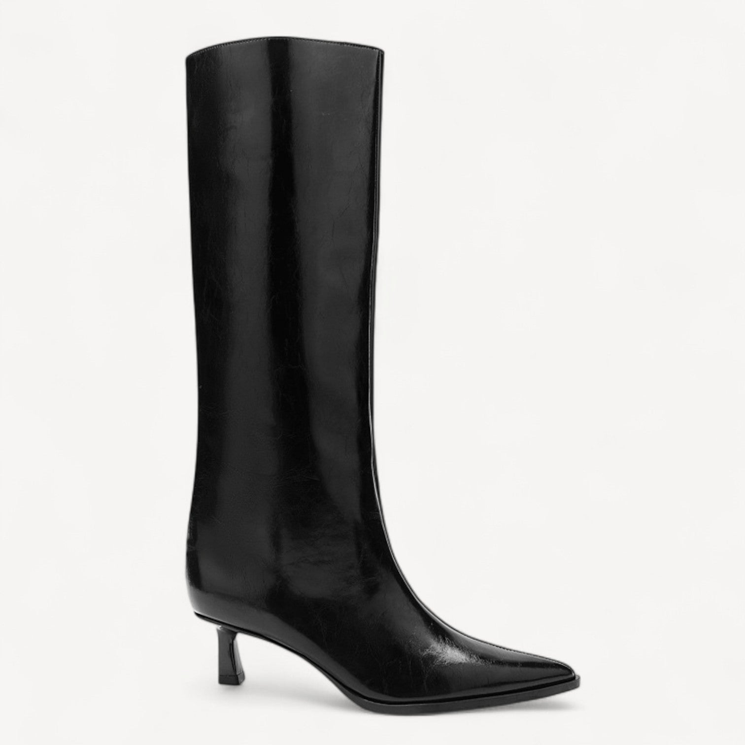 Black Pointed Knee Boots